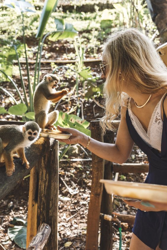 Monkey Jungle in Sosua, Puerto Plata, Dominican Republic